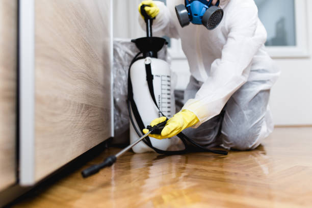 Best Ant Control Services  in North Tustin, CA