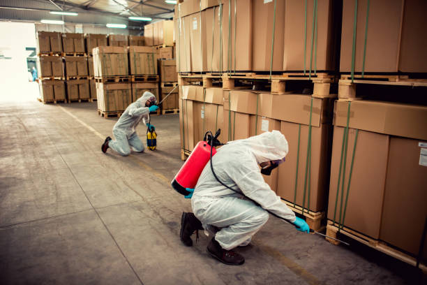 Best Wasp Removal Services  in North Tustin, CA