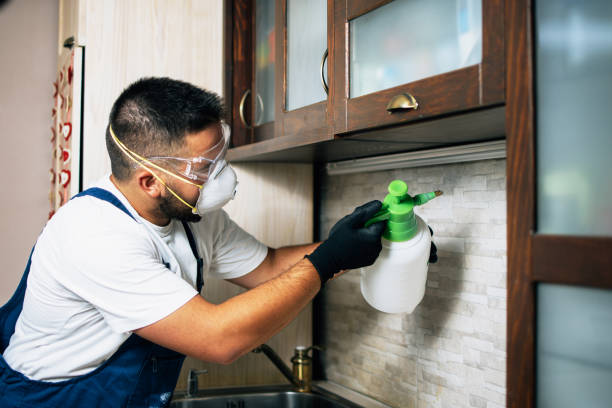 Best Local Pest Control Services  in North Tustin, CA