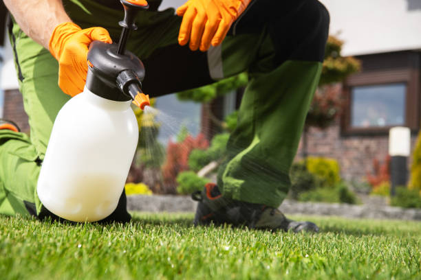 Best Commercial Pest Control Services  in North Tustin, CA