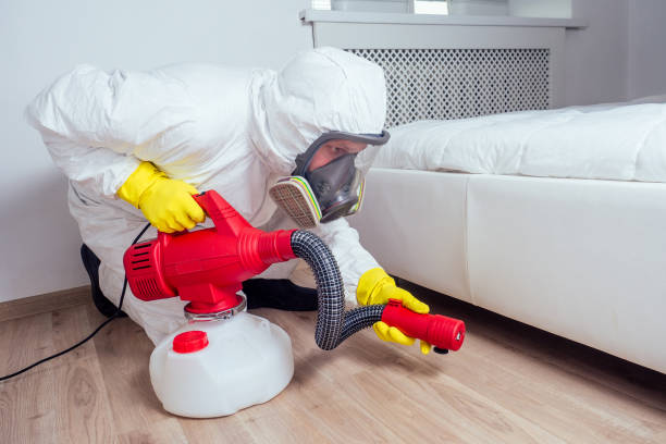 Best Best Pest Control Companies  in North Tustin, CA