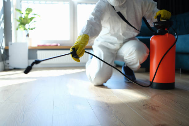 Professional Pest Control in North Tustin, CA
