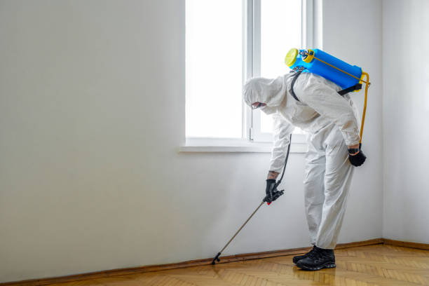 Best Cockroach Control Services  in North Tustin, CA