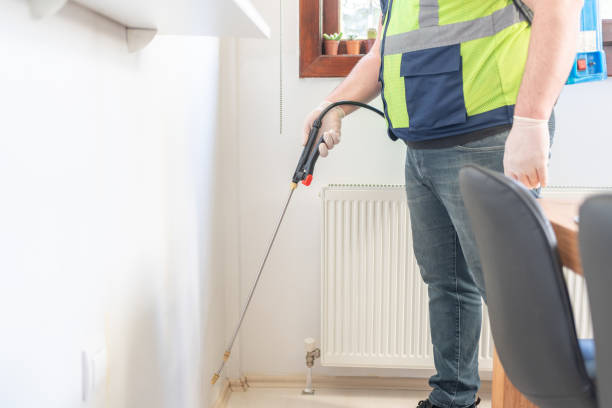 Wasp Removal Services in North Tustin, CA