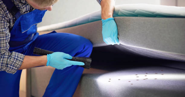 Best Pest Control Near Me  in North Tustin, CA