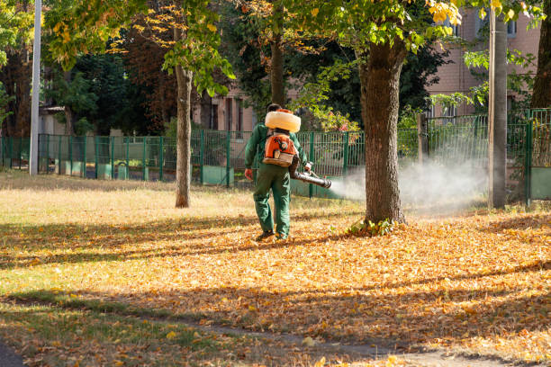 Best Exterminator Services  in North Tustin, CA