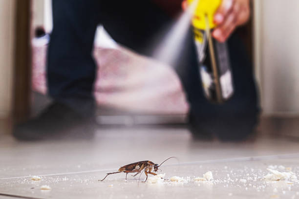 Best Bed Bug Extermination  in North Tustin, CA